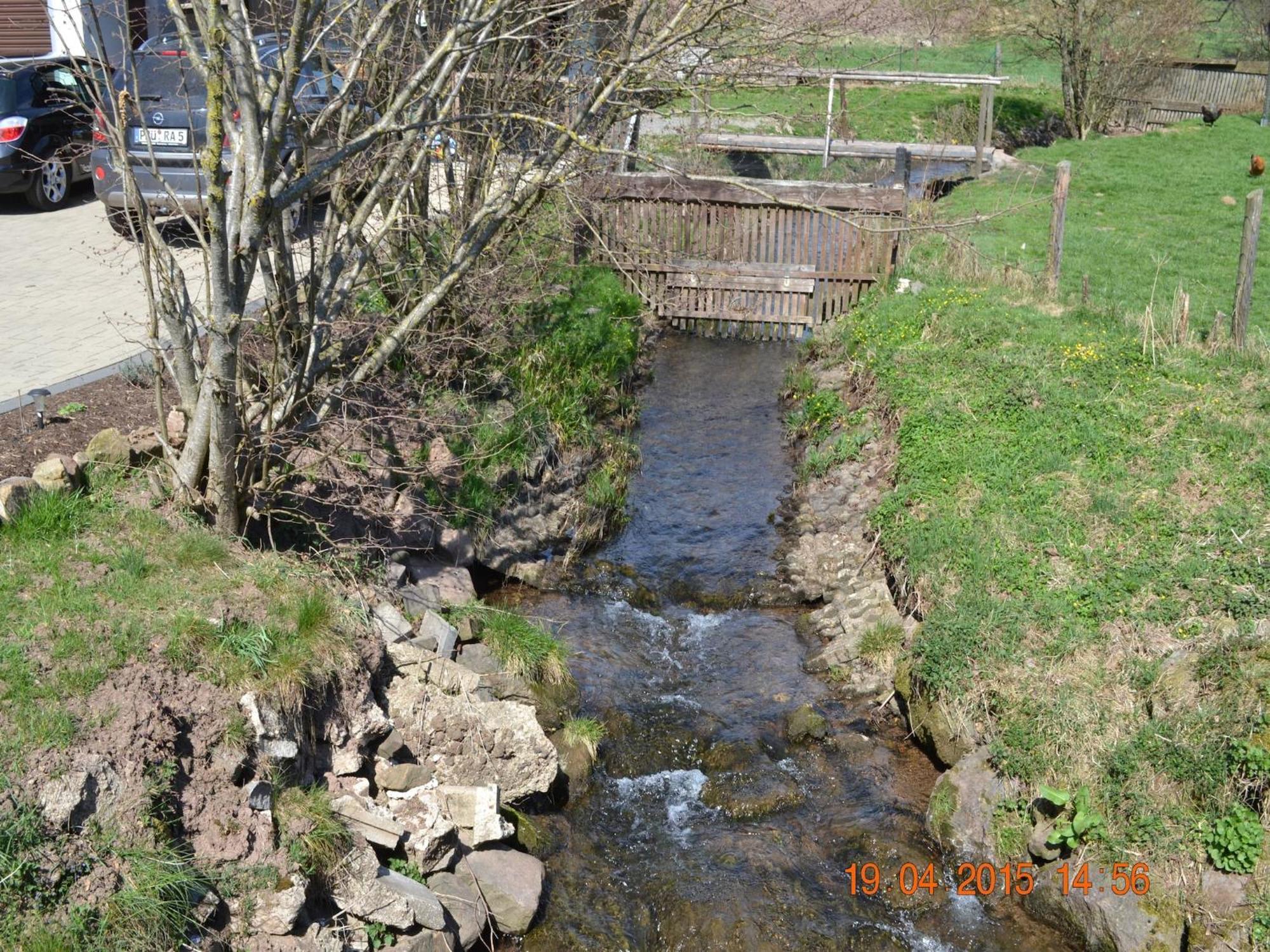 Quiet Apartment Along A Stream In Halenfeld Sellerich 外观 照片
